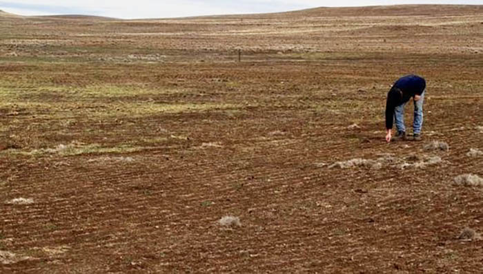 Declaran 544 distritos en emergencia de 14 regiones por dÃ©ficit hÃ­drico: Â¿cuÃ¡les son?